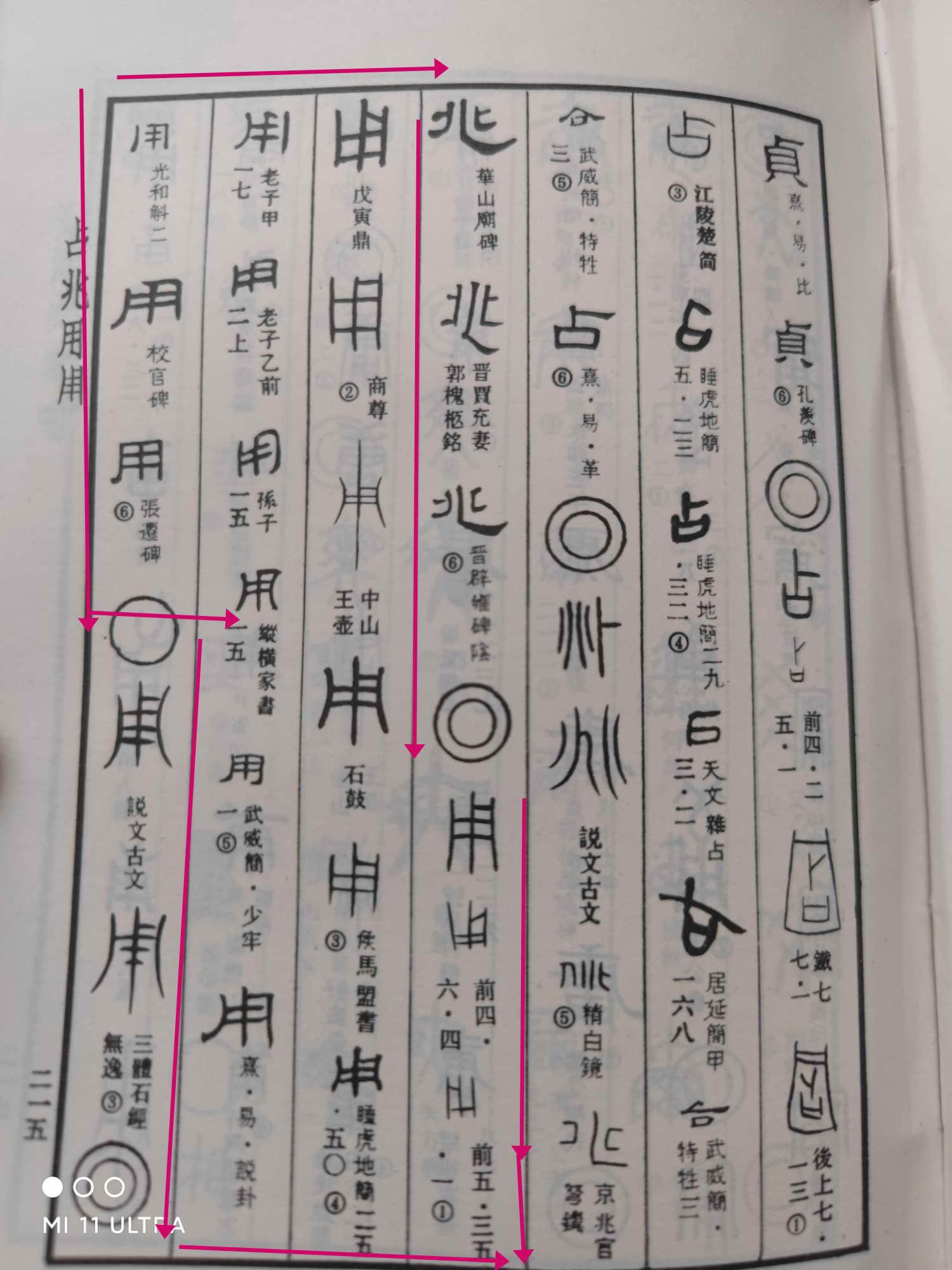 论夏商周的字根与中国龙的原型胚胎之间的关系