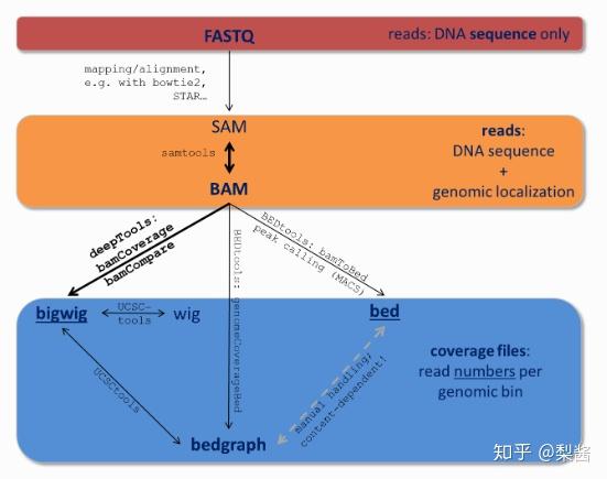 [生信资料 3] 生物信息学常见数据格式，汇总！ - 知乎