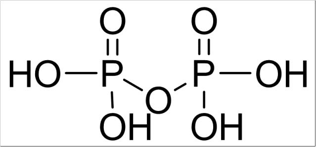 新型冠状病毒11磷酸盐所有生命形式的营养