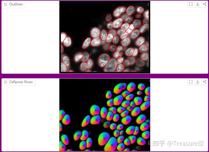 Cellpose-SAM —— 超人类水平的细胞分割 - 知乎