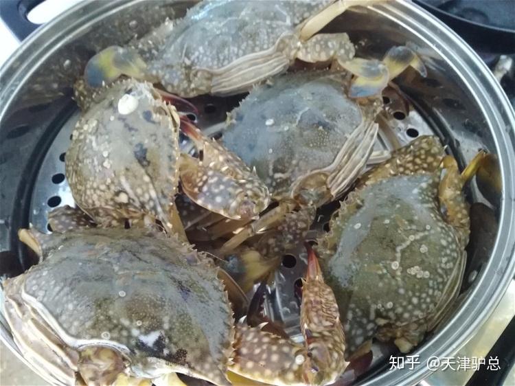 批发市场青花蟹海南70