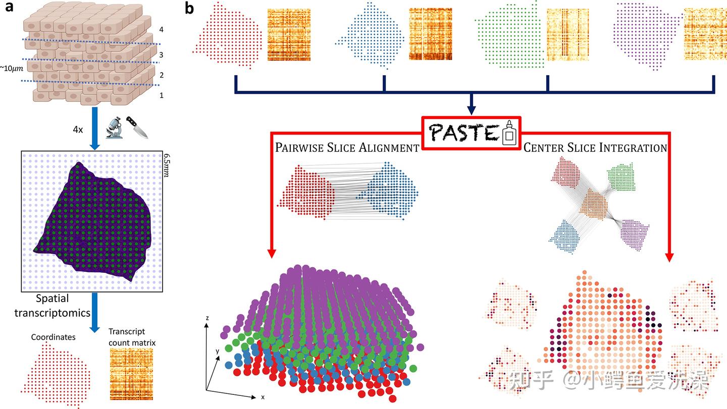 Alignment and Integration of Spatial Transcriptomics Data 论文阅读整理 - 知乎