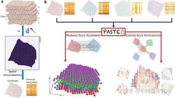 Alignment And Integration Of Spatial Transcriptomics Data 论文阅读整理 - 知乎