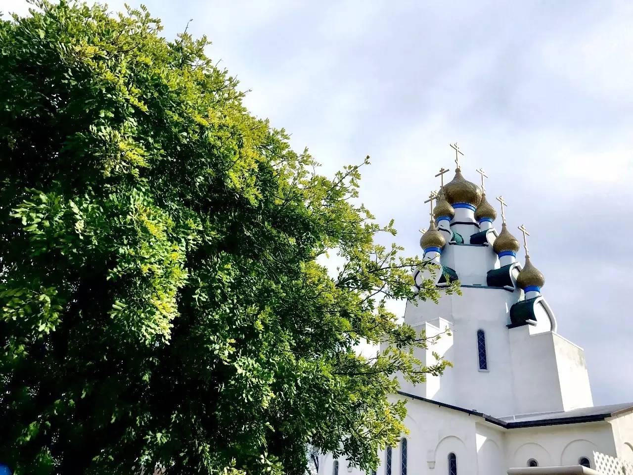 在洛杉矶,如何假装在全世界