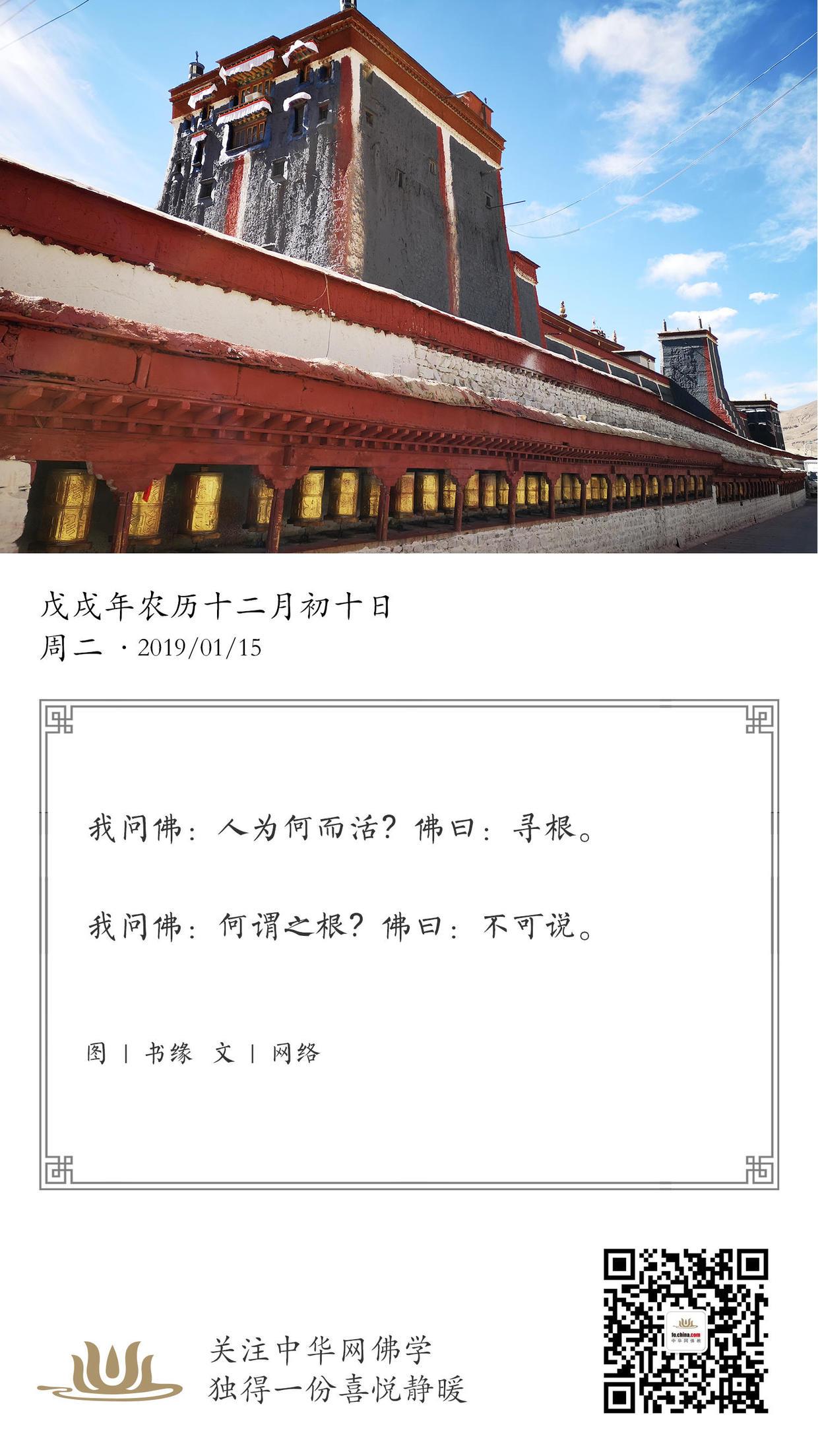 我问佛人为何而活