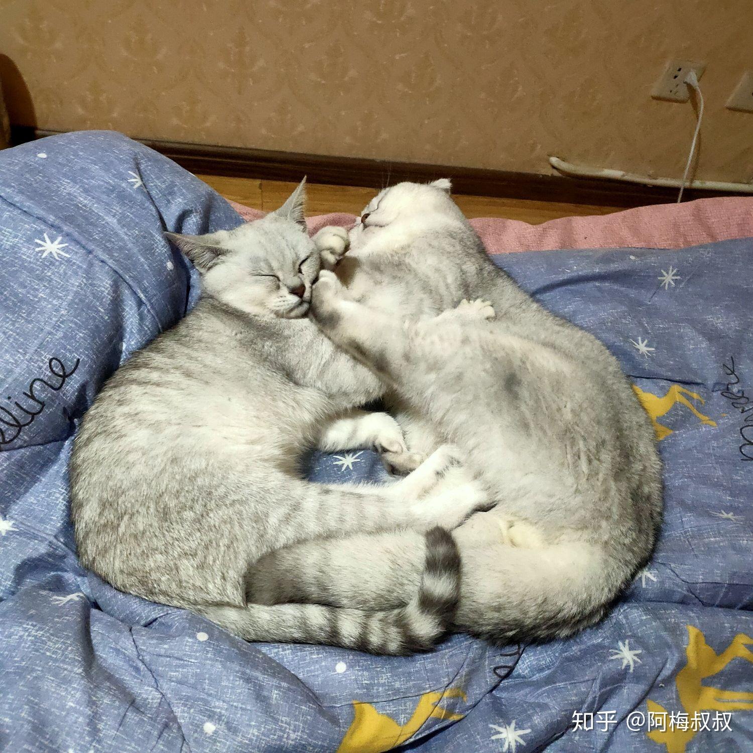 用什么睡姿抱女友睡觉最舒服