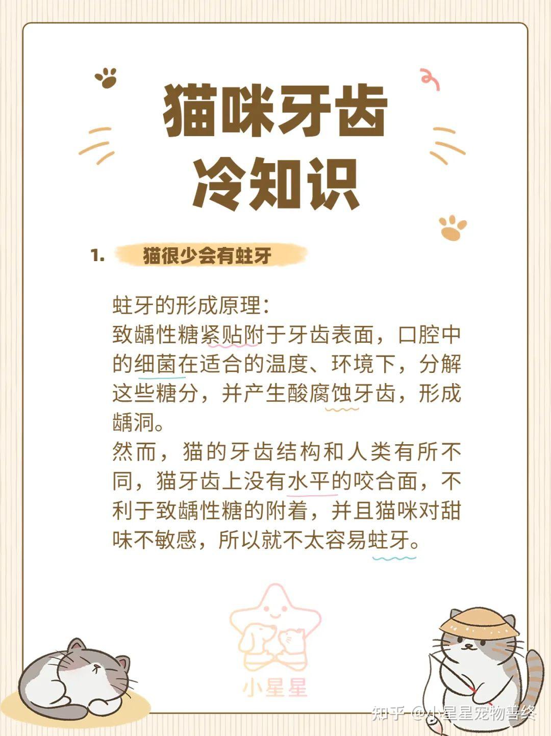 你不知道的猫咪牙齿知识 - 知乎