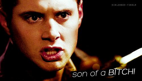 脑白金铸就销售传奇的驱动力解析