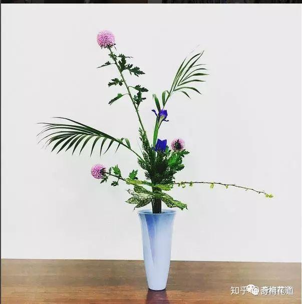 划重点了！五分钟让你了解日式立花- 知乎