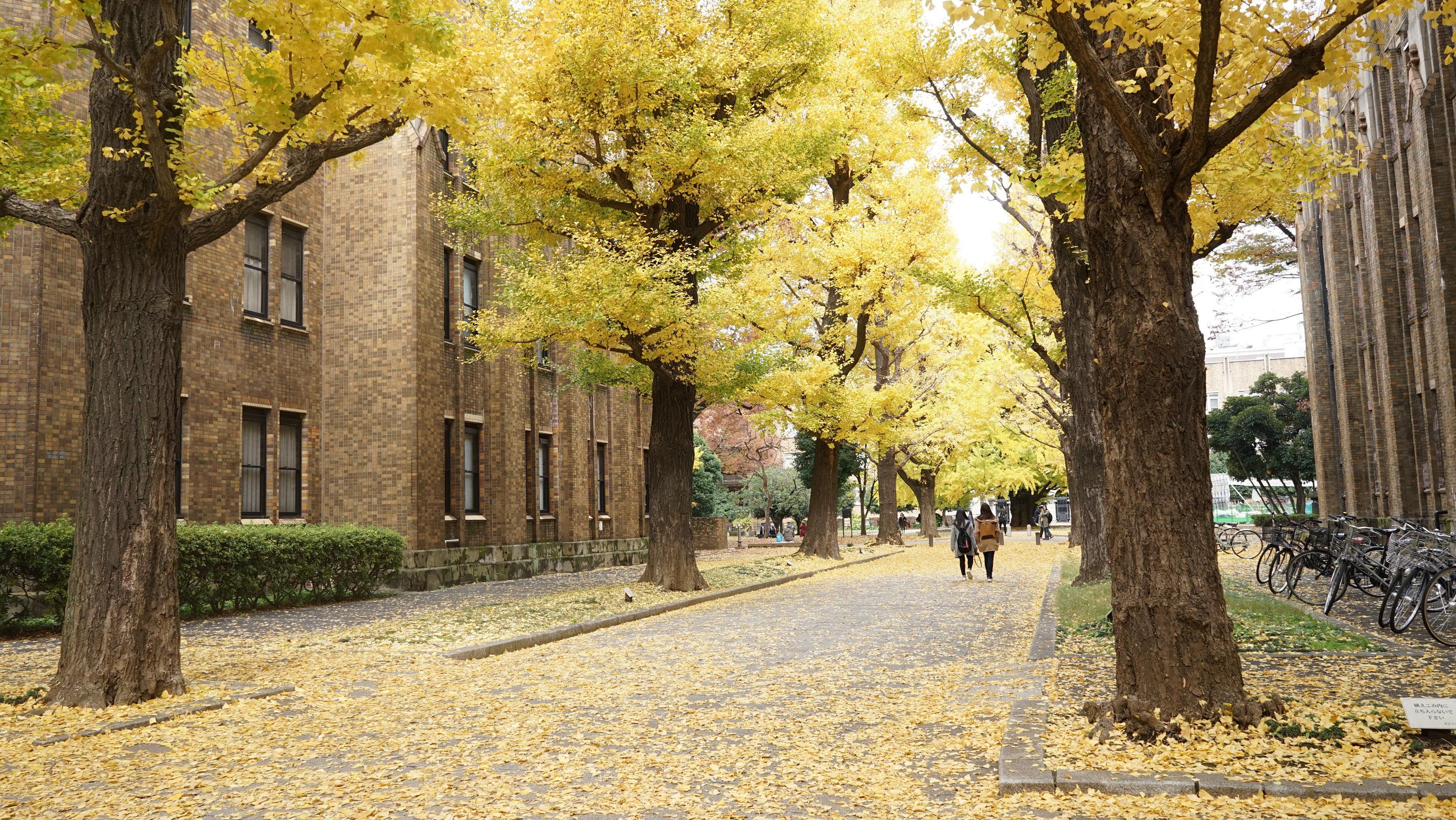 日本名校图鉴——东京大学、庆应大学与早稻田大学 - 知乎