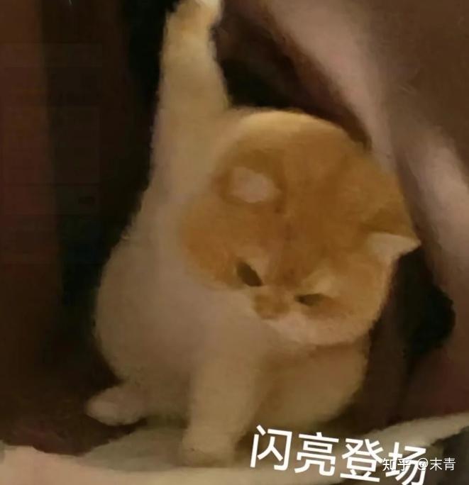 闭眼买不踩雷的油烟机推荐:2026年618最建议买的油烟机——COLMO黑珍珠油烟机C3 AIR。油烟机选购,看着一篇就够。