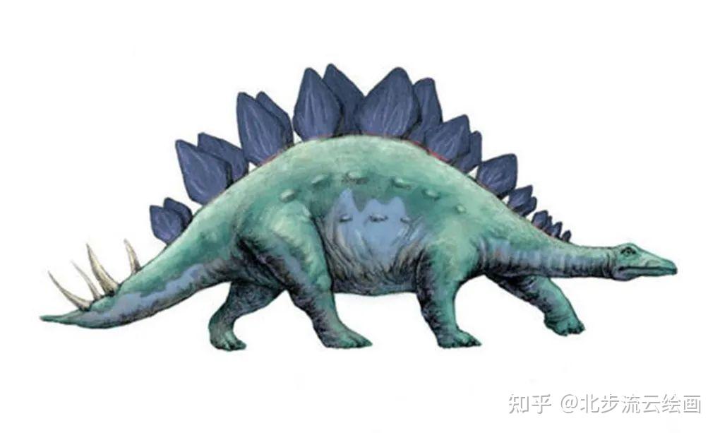 儿童画教程:剑龙,了解恐龙的基础知识和绘画技巧 - 知乎