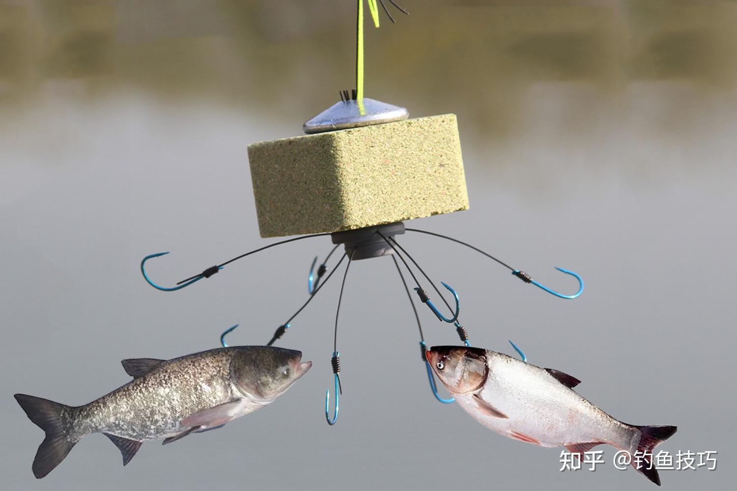 使用海竿钓鲢鳙的3种鱼饵,只要味型配对了,都能钓到大鲢鳙 - 知乎
