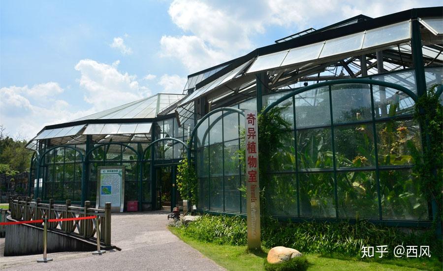 华南植物园温室图片图片