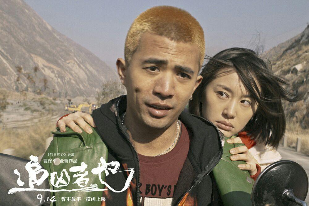 如何评价电影追凶者也