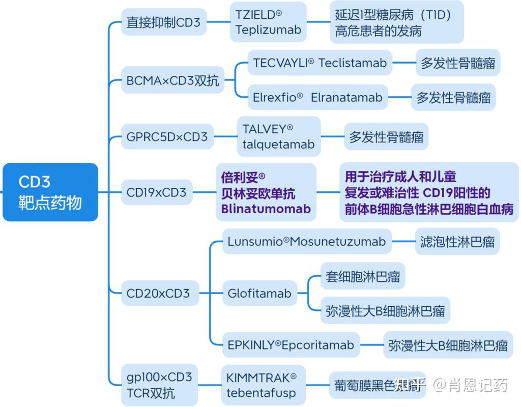 记住所有FDA生物药 | BCMA×CD3双抗 | Elrexfio® Elranatamab | 多发性骨髓瘤 - 知乎