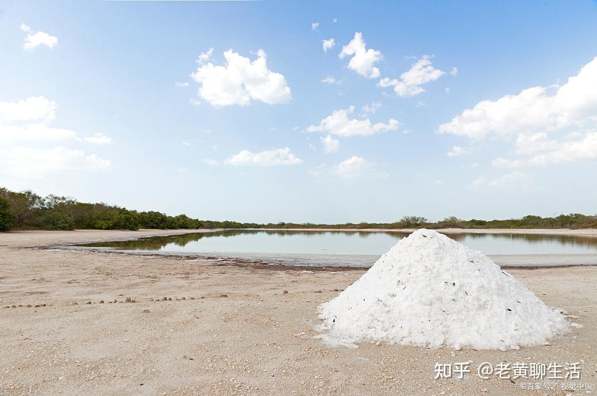 探寻最健康的盐:天然海盐与精制盐的对比 - 知乎