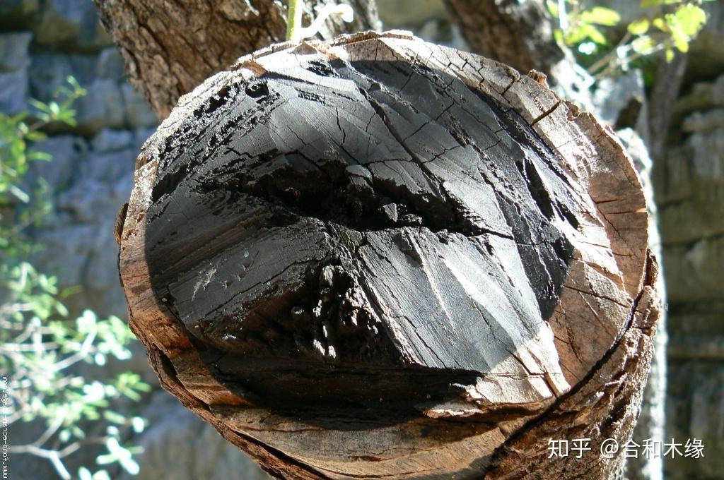 「涨知识」国标红木之26——乌木(锡兰乌木、东印度乌木) - 知乎