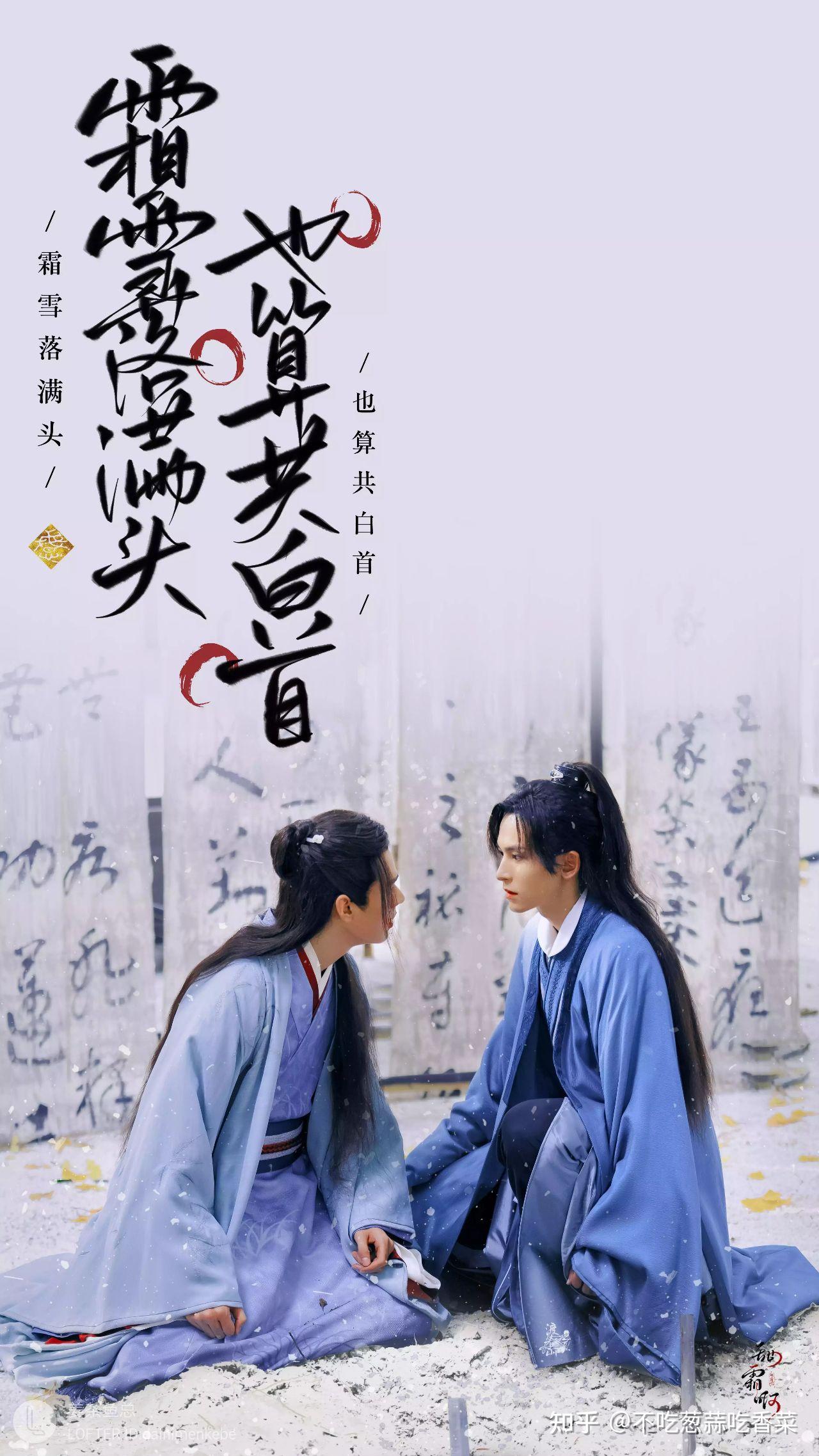 山河令电视剧你看了么