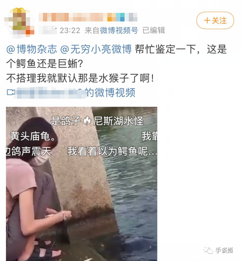 明明天天在认真科普大多数网友们却只记住了他的表情包藏狐打人