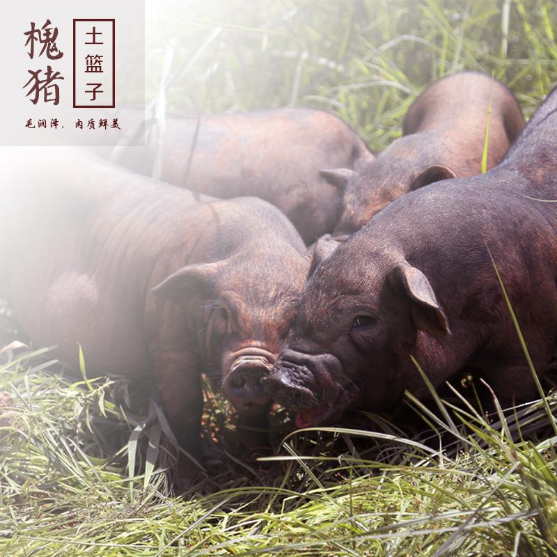 标题上杭槐猪土篮子龙岩人都爱吃的猪肉