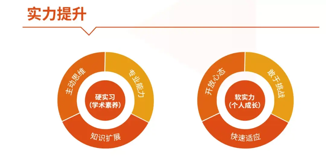 硬实习(学术素养):主动思维 知识扩展 专业能力软实力(个人成长):开放