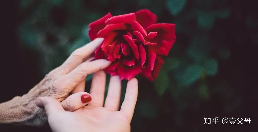 生日怎么祝福自己发朋友圈 v2-0e5bb017abe85a25da8c6f3e5a596802_r.jpg