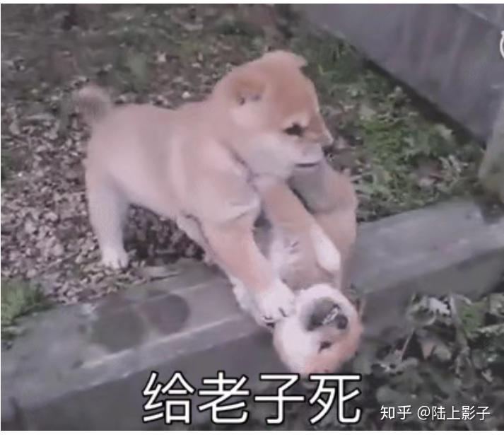 团支书转团遇到的各种情况及解决方法