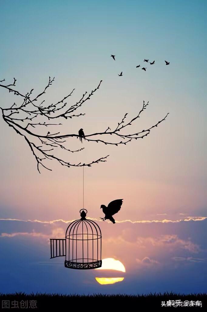 真正的爱是给她自由