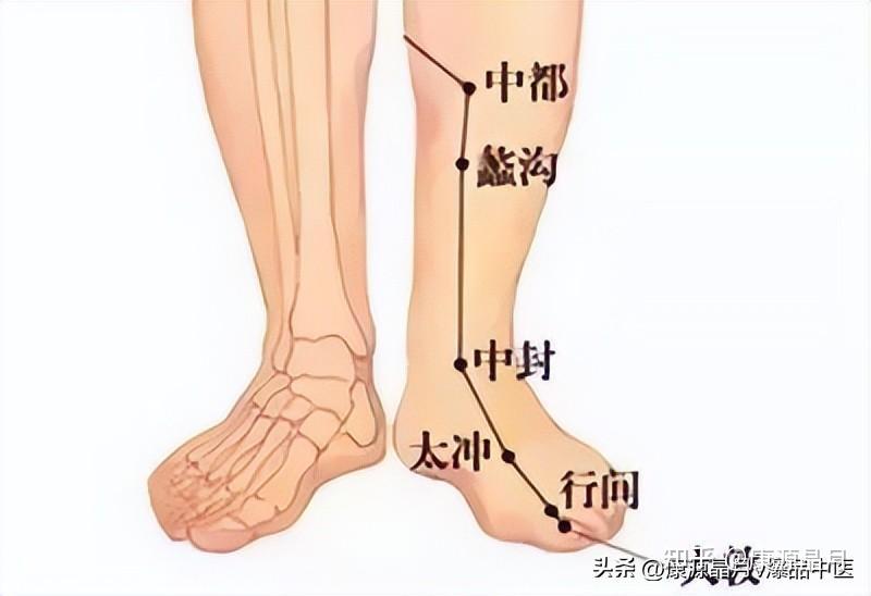 足部穴位图解知识详解，一学就会 一按就会改善 - 知乎