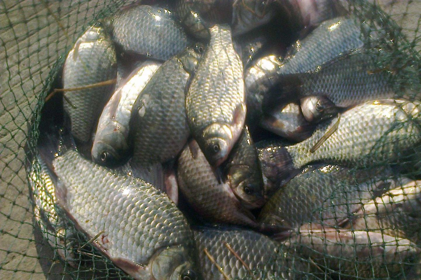 什么是黑坑什么是竞技 v2-0e98cf54f0dff8cb0ed4c2d362afd6f5_1440w.jpg?source=172ae18b