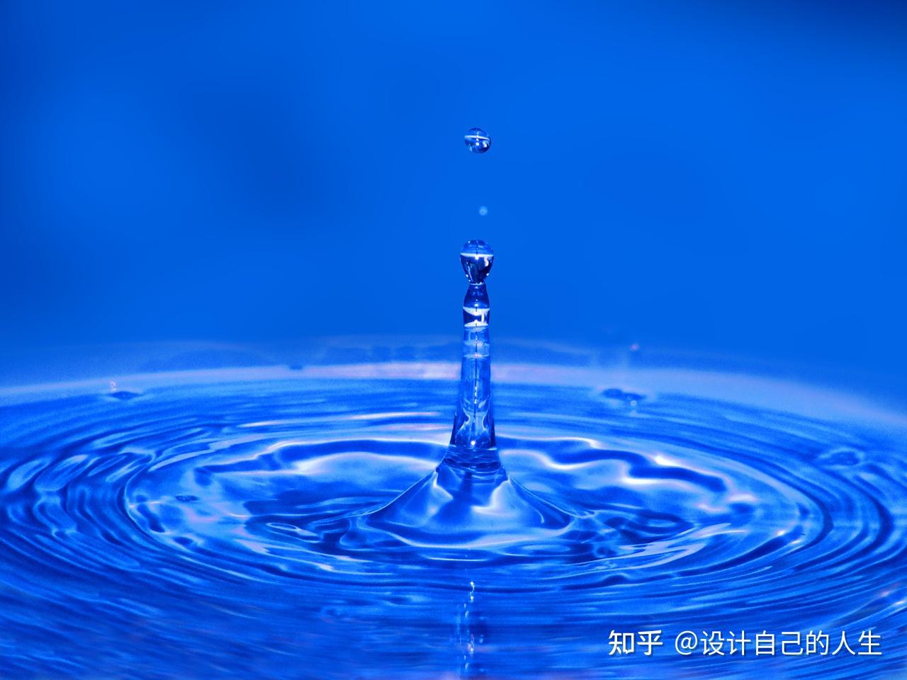 如何提高自己的SEO排名 (如何提高自己的口才和表达能力)