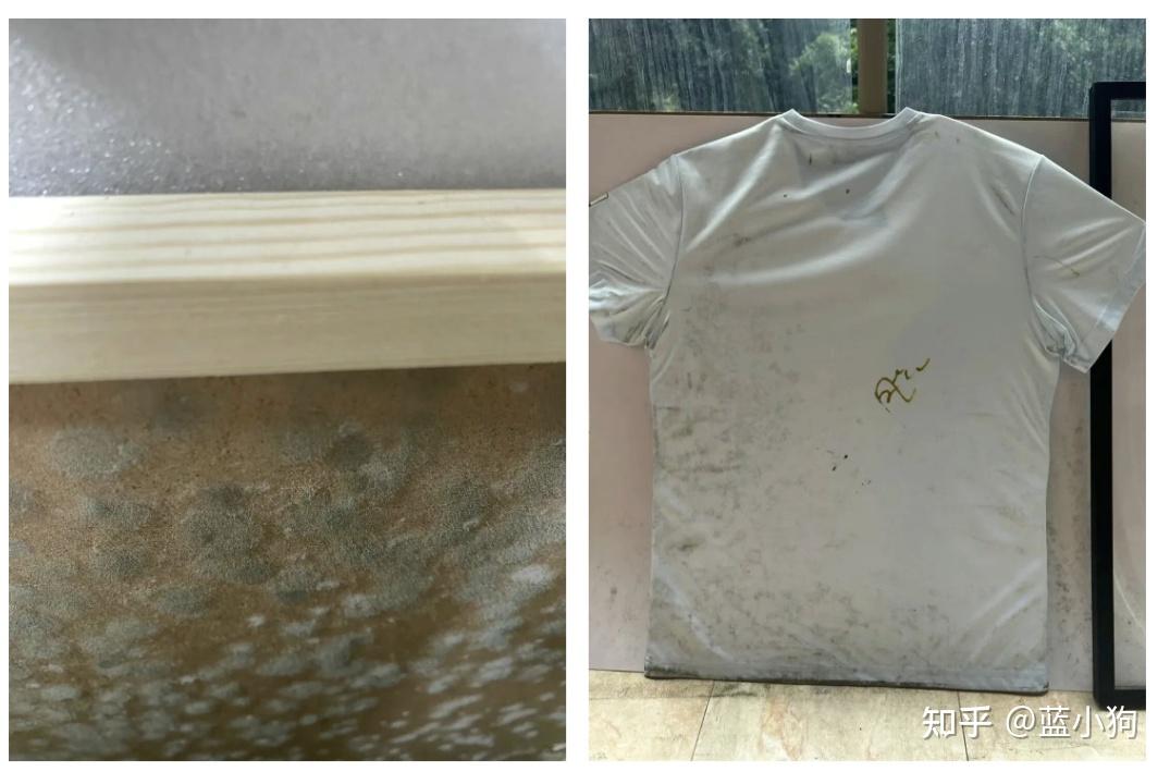 回南天、梅雨季、连续阴雨,别等墙角发霉才后悔!为什么我强烈推荐南方人买一个真正好用的除湿机?