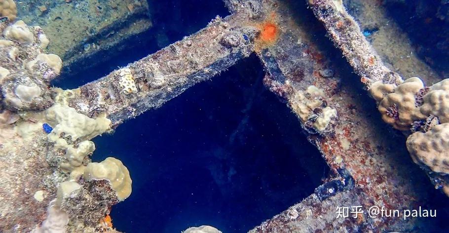 67还有一处残骸是日本的零式水上侦察机,这种型号的飞机在二战的