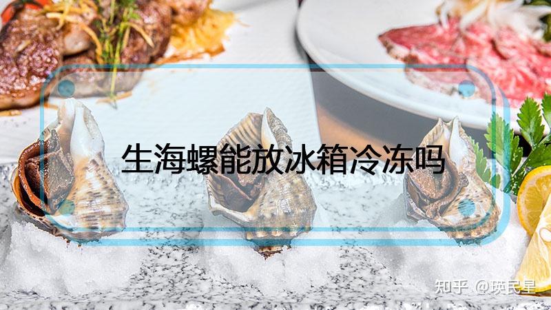 生海螺能放冰箱冷凍嗎