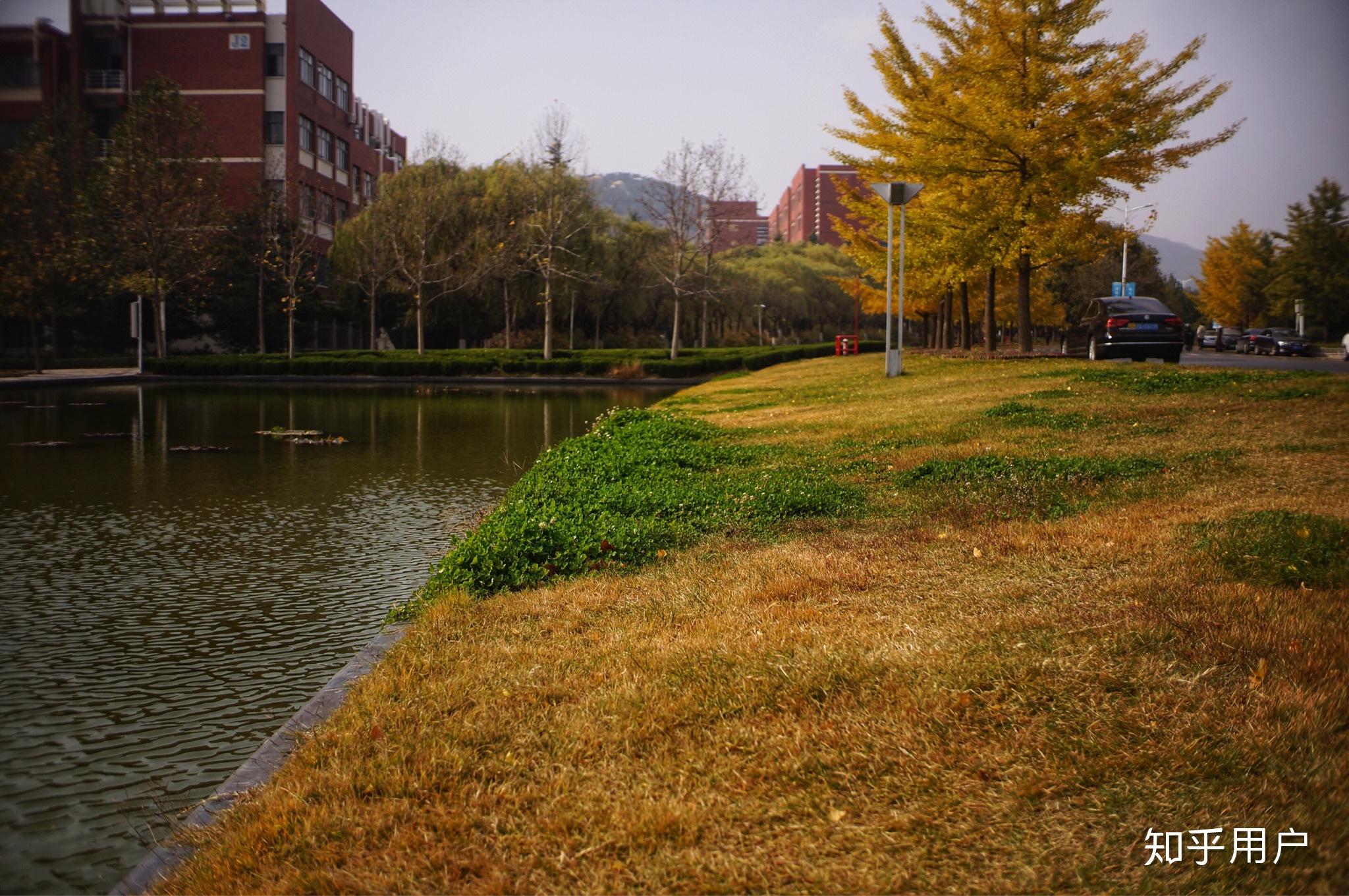 山東科技大學的景色到底有多美