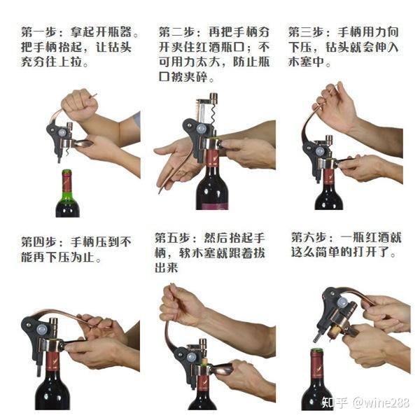 红酒喝法教学视频(红酒喝法教学视频大全)