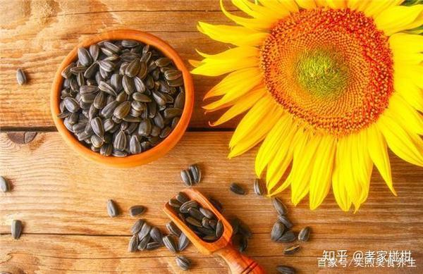 吃葵花籽的好处与坏处 长期吃葵花籽能致癌吗 生葵花籽的功效与禁忌