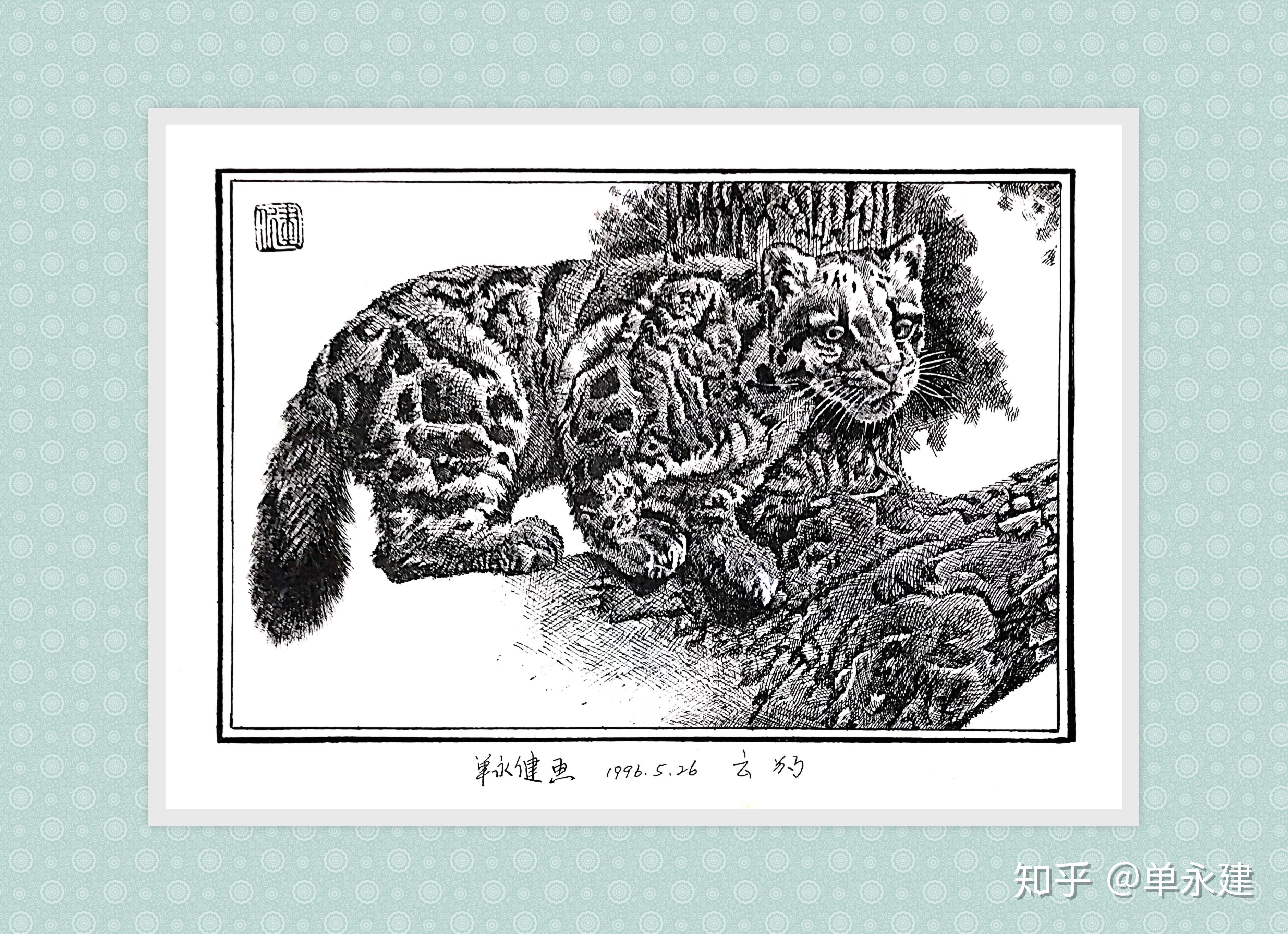 单永建画作1996年钢笔画云豹