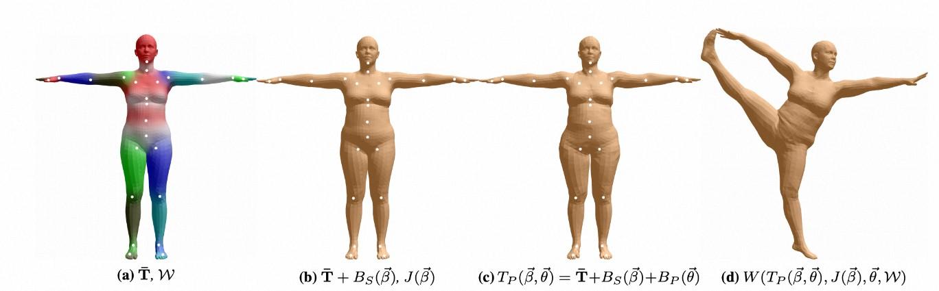 数字人基础| 人体参数化模型SMPL的发展史- 知乎