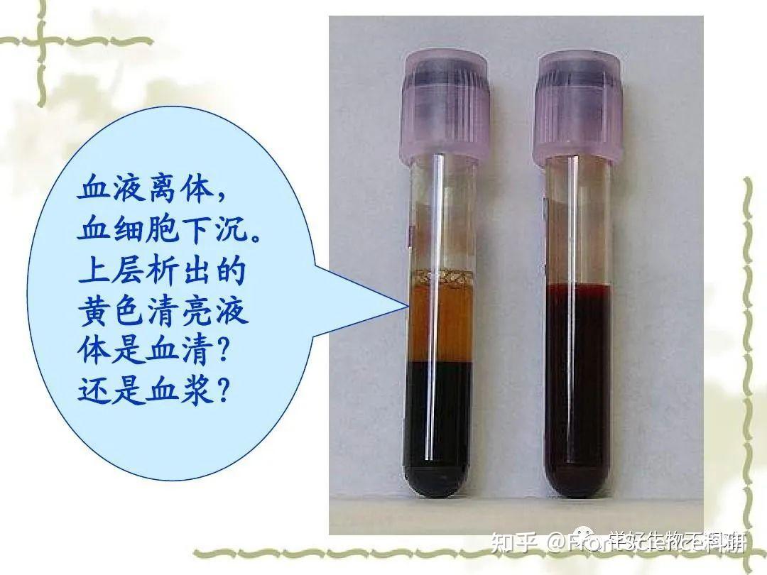 【辨析】血液、血浆、血清、血细胞的区别 - 知乎
