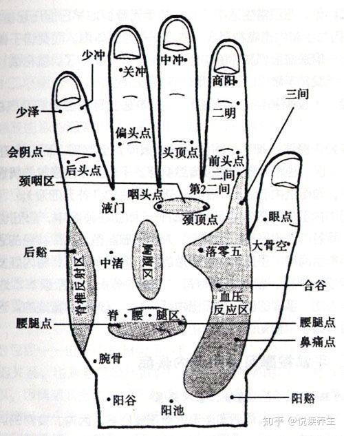 「每天学点养生」完整的手掌上的穴位图解，很齐全！ - 知乎