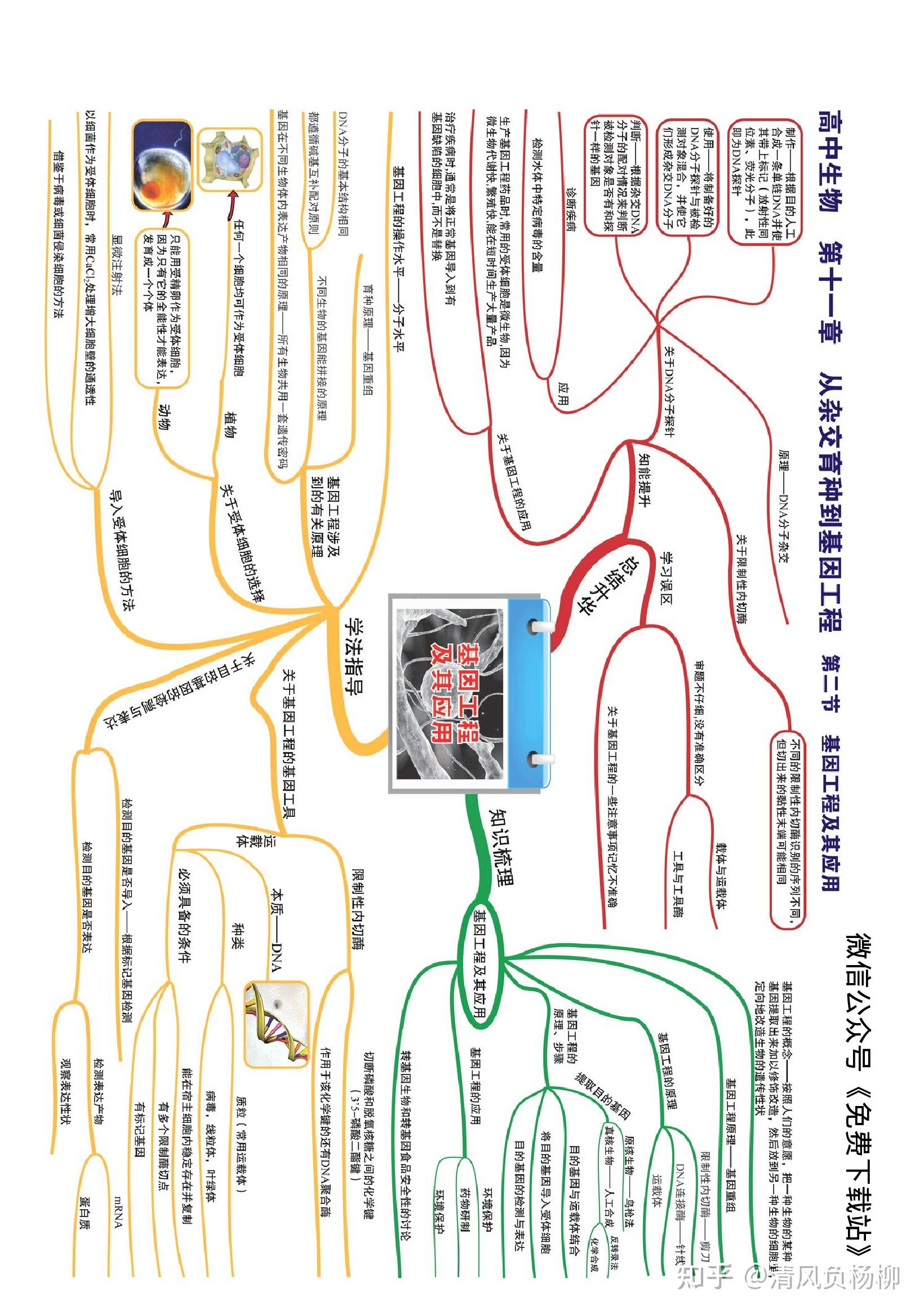 高中生物全套思维导图高清版竖版