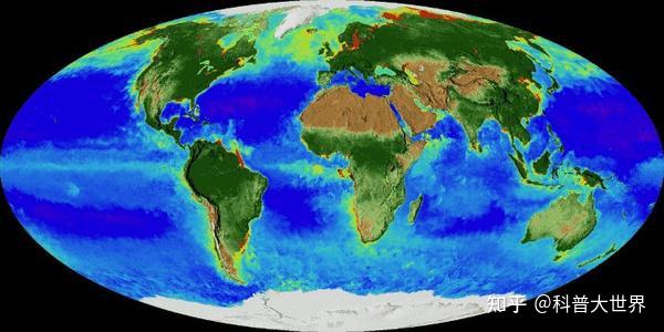 陸地上的生物多還是海洋中生物多?兩者一比較,陸地比海洋差遠了 - 知