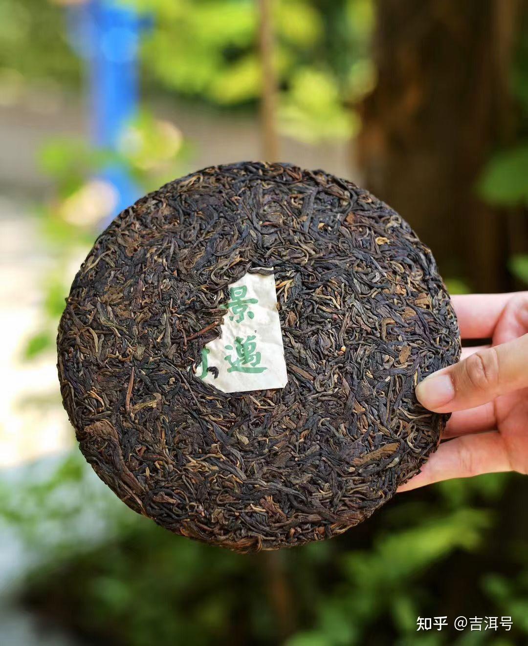 懂茶的都在喝的茶景迈茶茶中贵族