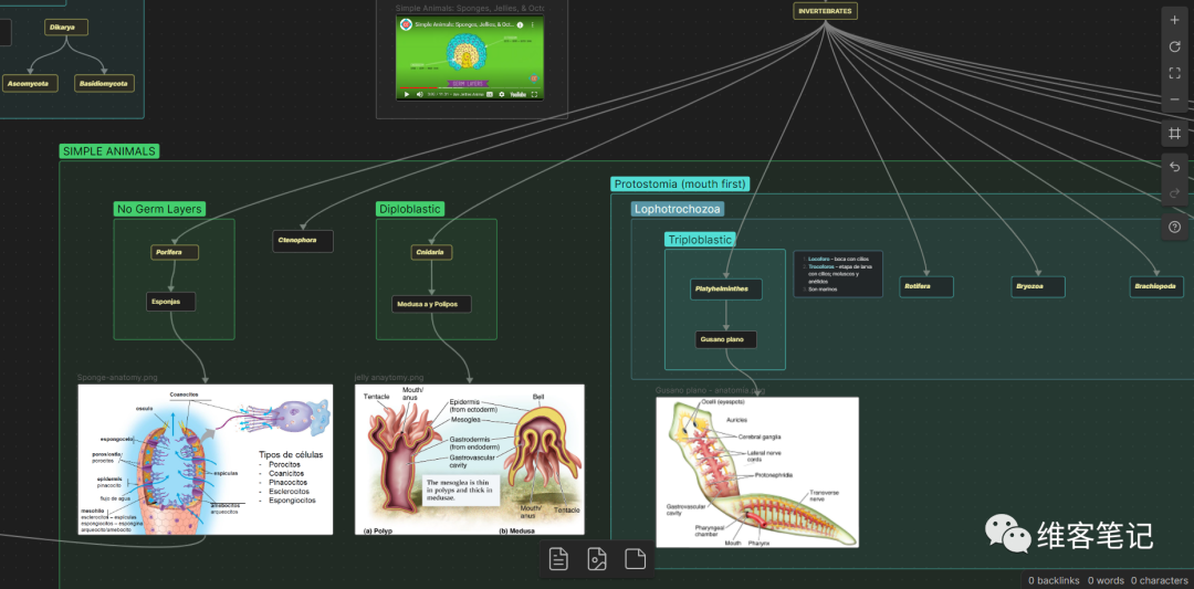 一起来看看大佬们的Obsidian白板（Canvas）使用案例分享 - 知乎