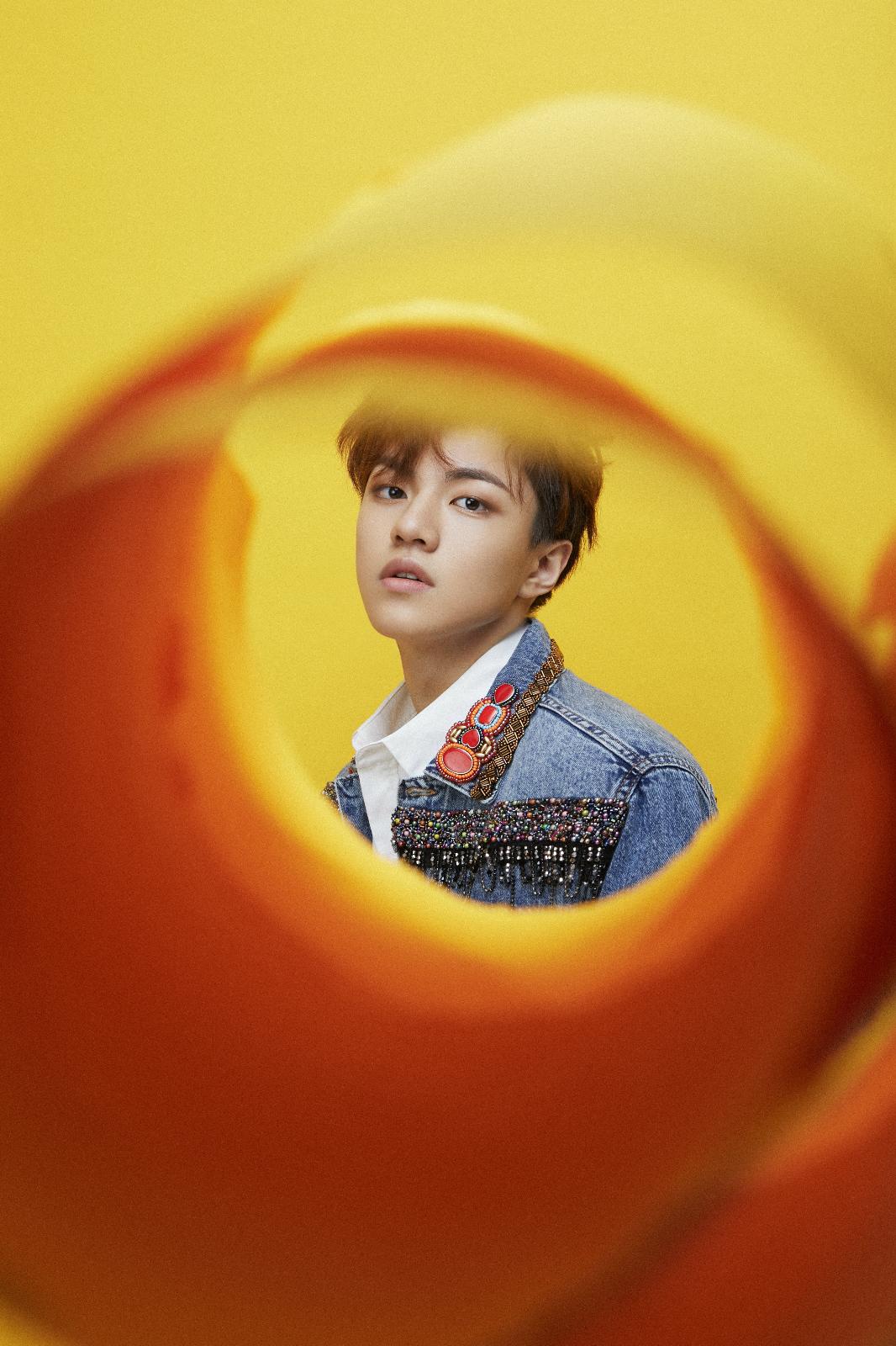 钱正昊黄色甲壳虫属于00后的经典流行