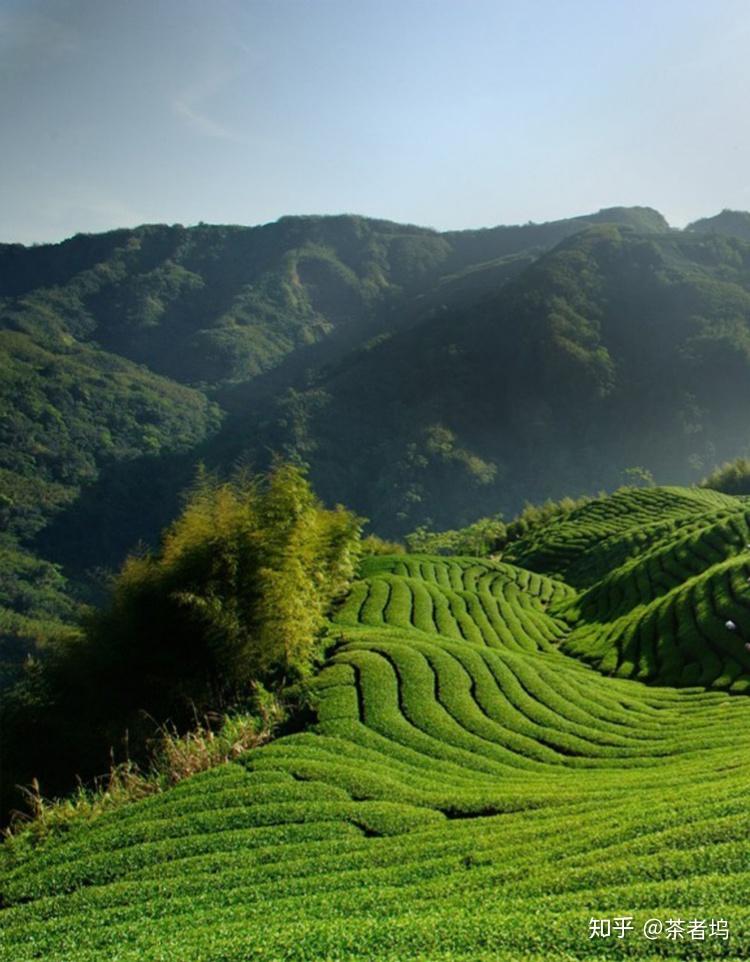 云南凤庆十大景点图片