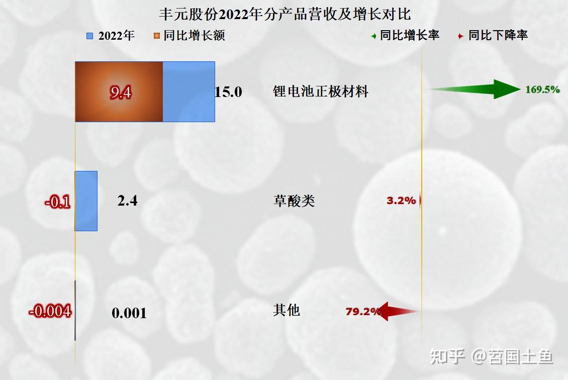 丰元股份(002805.SZ)2025年12月26日涨停分析