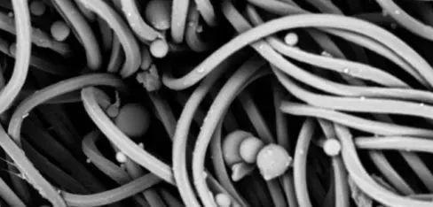 穿上显瘦10斤 躺着掉肉10斤 这是条会燃烧脂肪的瘦腿裤 知乎